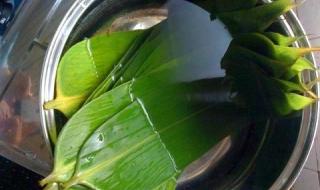 粽叶煮的时长 粽叶怎么煮才软又绿 粽叶煮的时长 粽叶怎么煮才软又绿