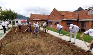 贵州大红枫大棚秋棚