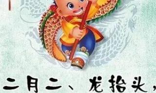 家有属龙二月二注意啥