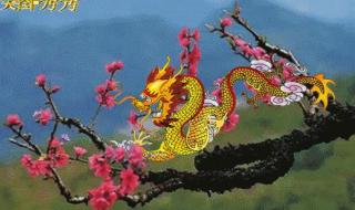 家有属龙二月二注意啥