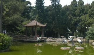 几点不要门票从哪个门进不要门票 厦门万石植物园攻略