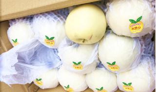 苹果梨出现糖心是因为什么 苹果梨出现糖心是因为什么