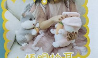 不一样的兔子音乐篇 不一样的兔子音乐篇