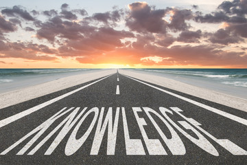 世界上最吓人的乌龟是什么龟 世界上最吓人的乌龟